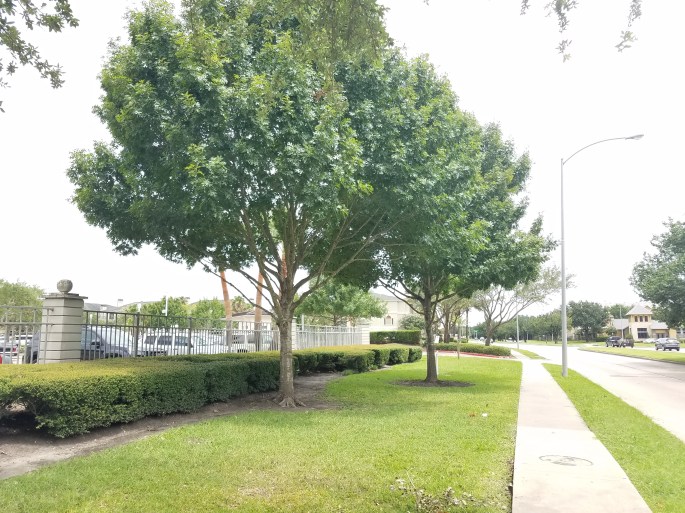 The concierge 24.jpg